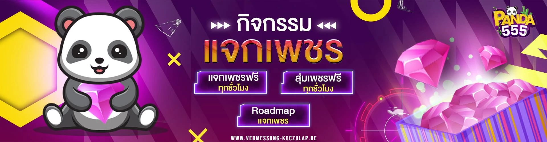 แพนด้า555